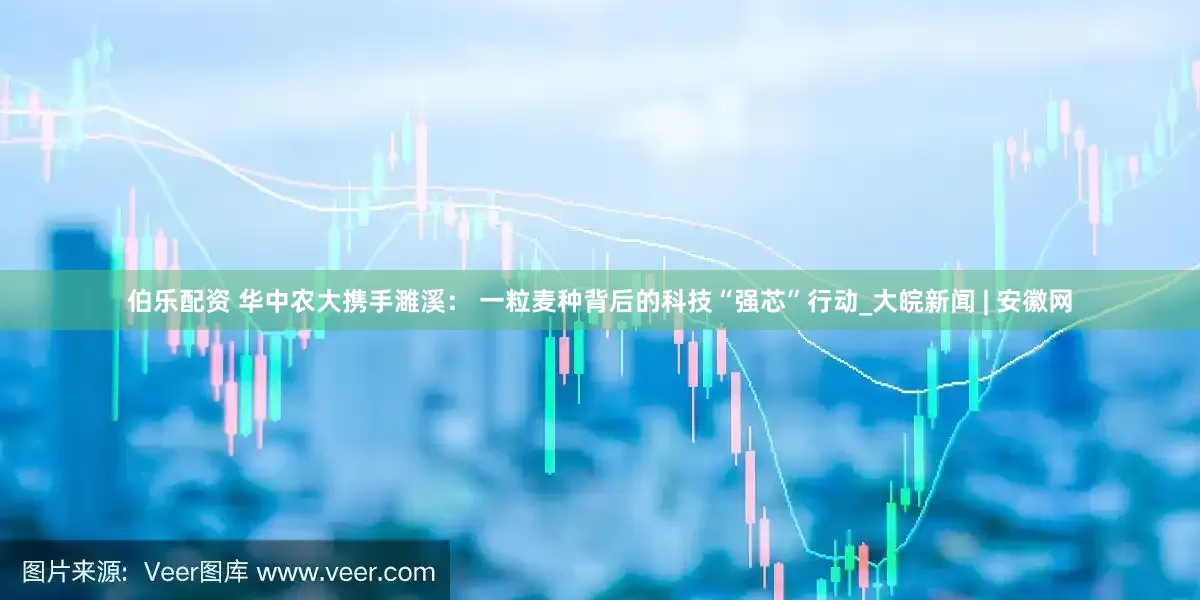 伯乐配资 华中农大携手濉溪： 一粒麦种背后的科技“强芯”行动_大皖新闻 | 安徽网